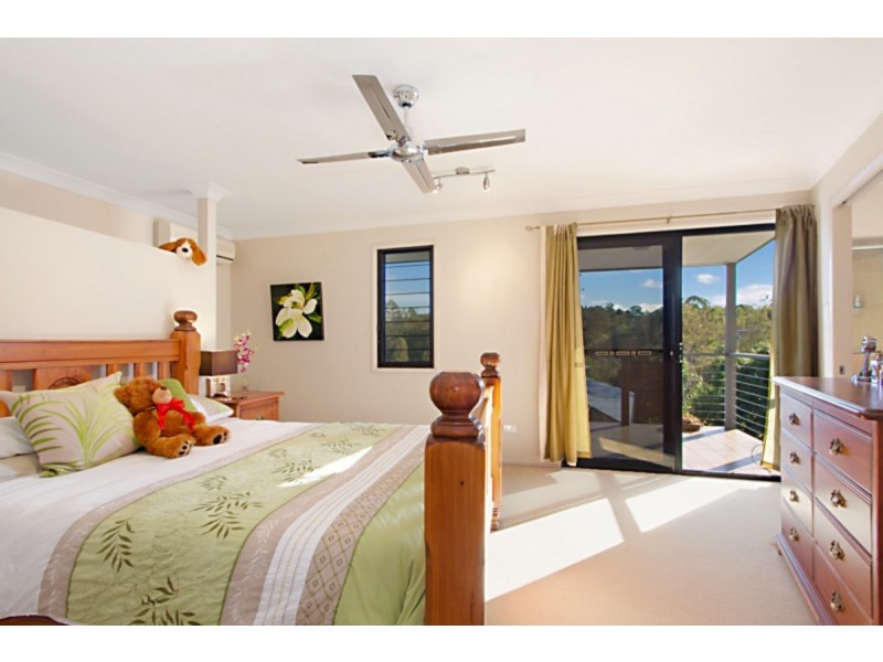 87 Palm Street, Kenmore QLD 4069