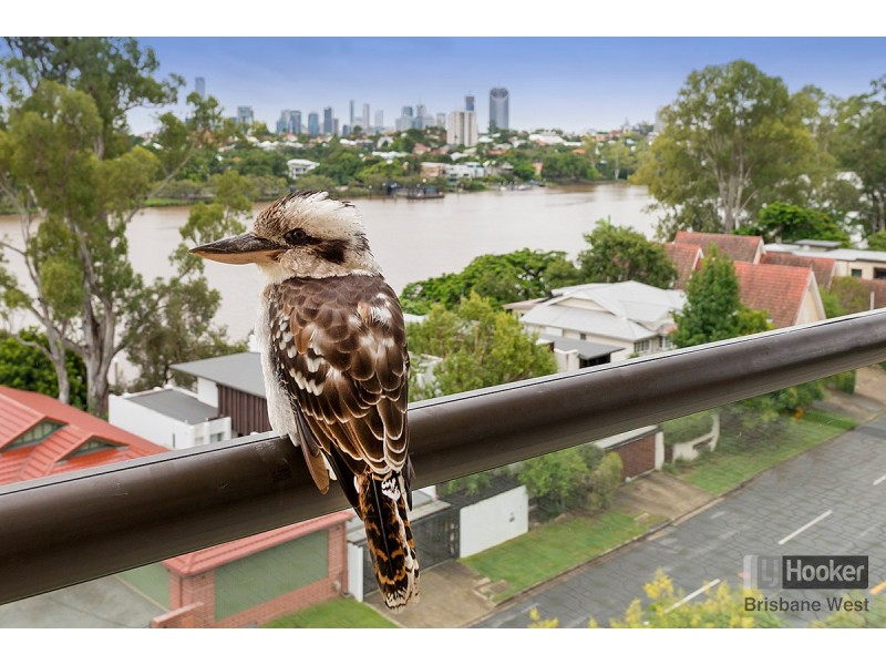 52/5 Hiron Street, St Lucia QLD 4067