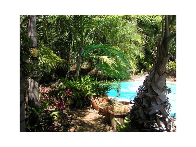 12 Fifth Avenue, St Lucia QLD 4067