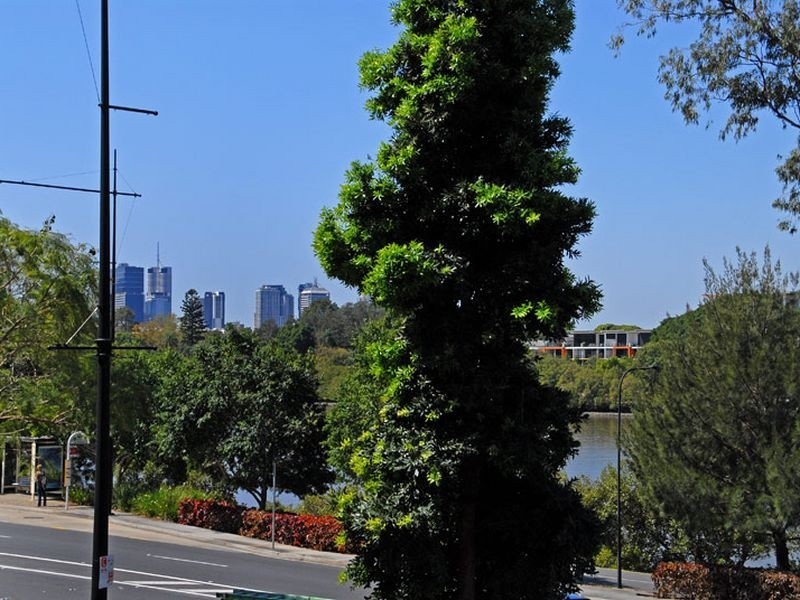 202/21 Patrick Lane, Toowong QLD 4066