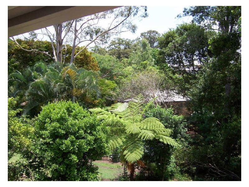 91 Main Avenue, Bardon QLD 4065