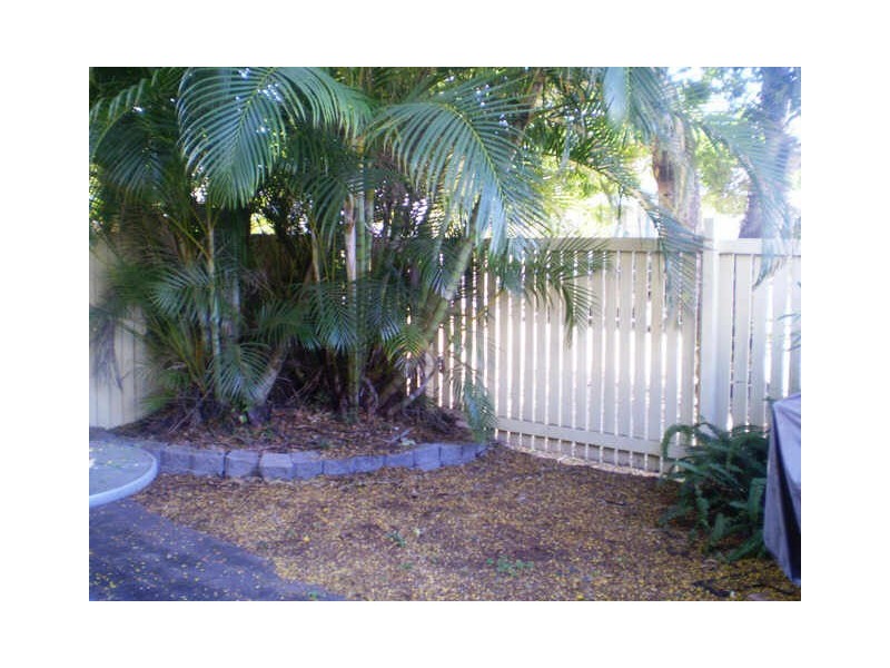 3/19 Quinn Street, Toowong QLD 4066