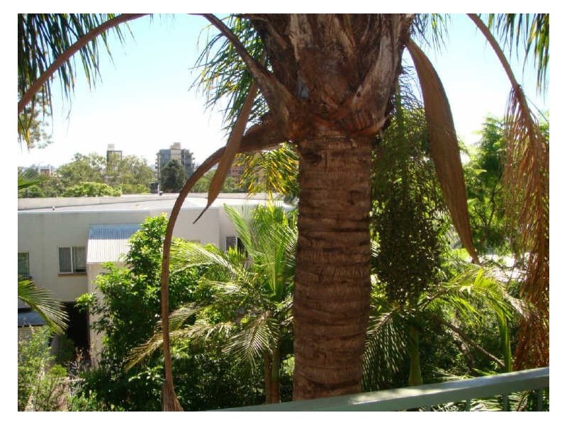 3/22 Armadale Street, St Lucia QLD 4067