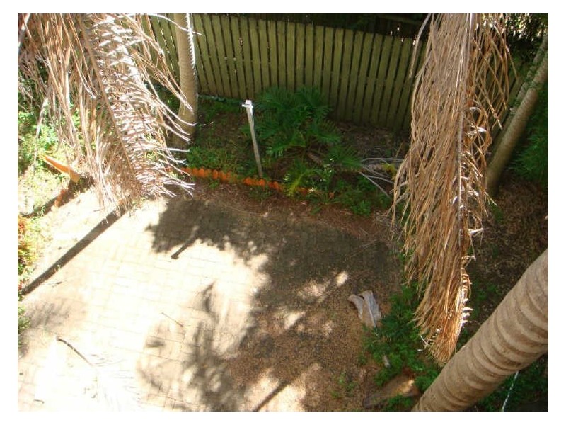 3/22 Armadale Street, St Lucia QLD 4067