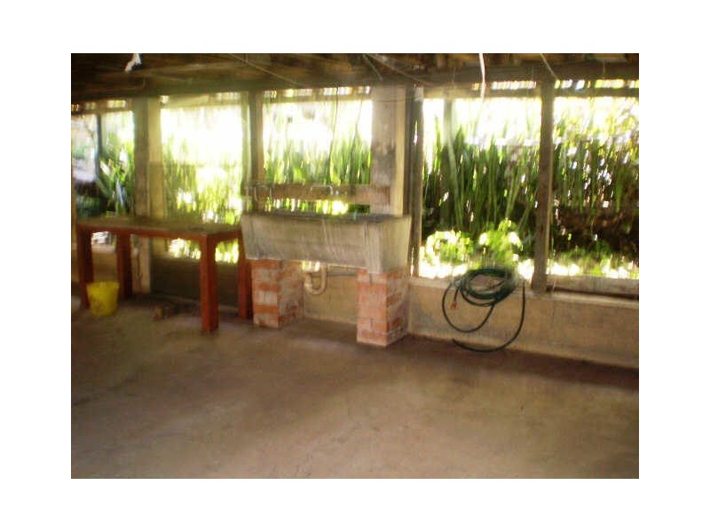 29 Frederick Street, Taringa QLD 4068