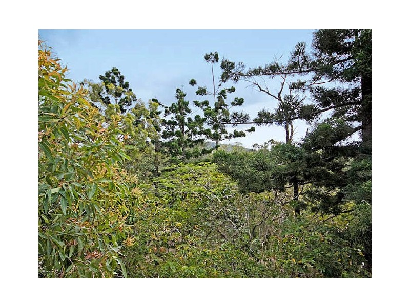 Chapel Hill QLD 4069