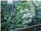 7/155 Central Avenue, Indooroopilly QLD 4068