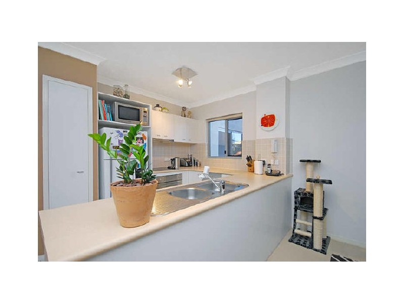 5/36 Holland Street, Toowong QLD 4066