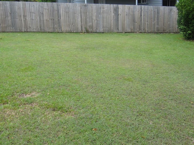 15 Binya Street, Holland Park QLD 4121