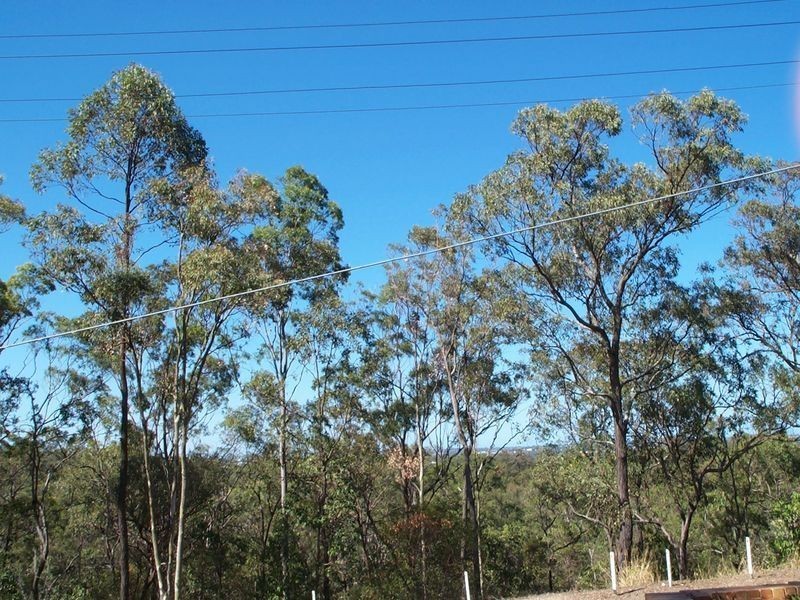 3/123 Tranters Avenue, Camp Hill QLD 4152