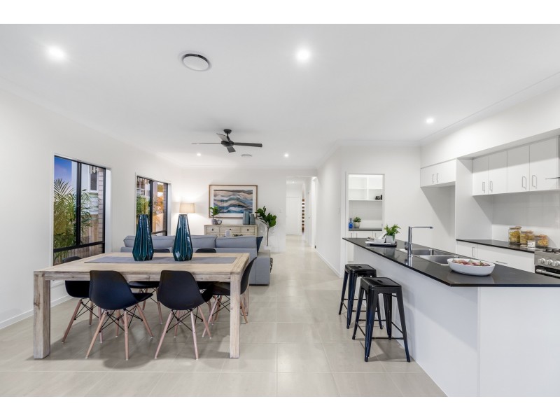 17 Hillgrove Street, Upper Mount Gravatt QLD 4122