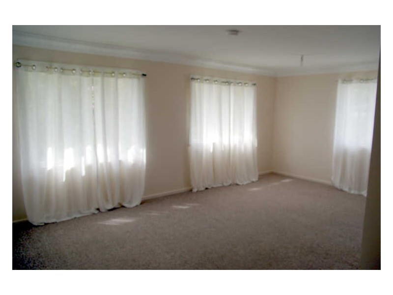 41 Arnold Street, Holland Park QLD 4121