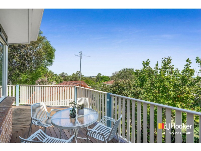 19 Azanian Street, Upper Mount Gravatt QLD 4122