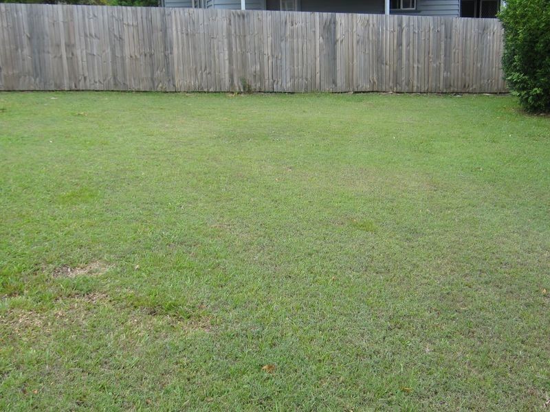 15 Binya Street, Holland Park QLD 4121