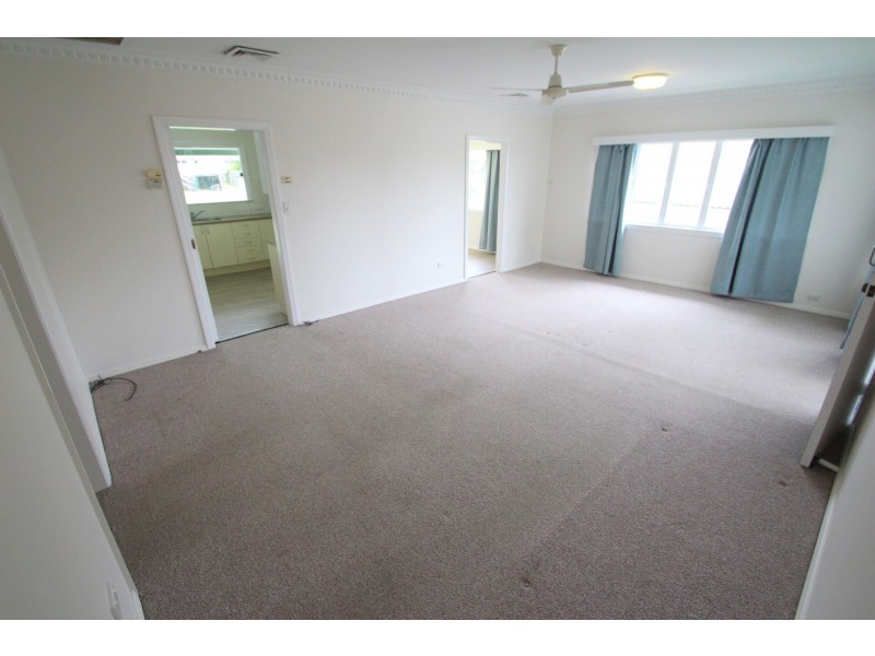 11 Lutzow Street, Tarragindi QLD 4121