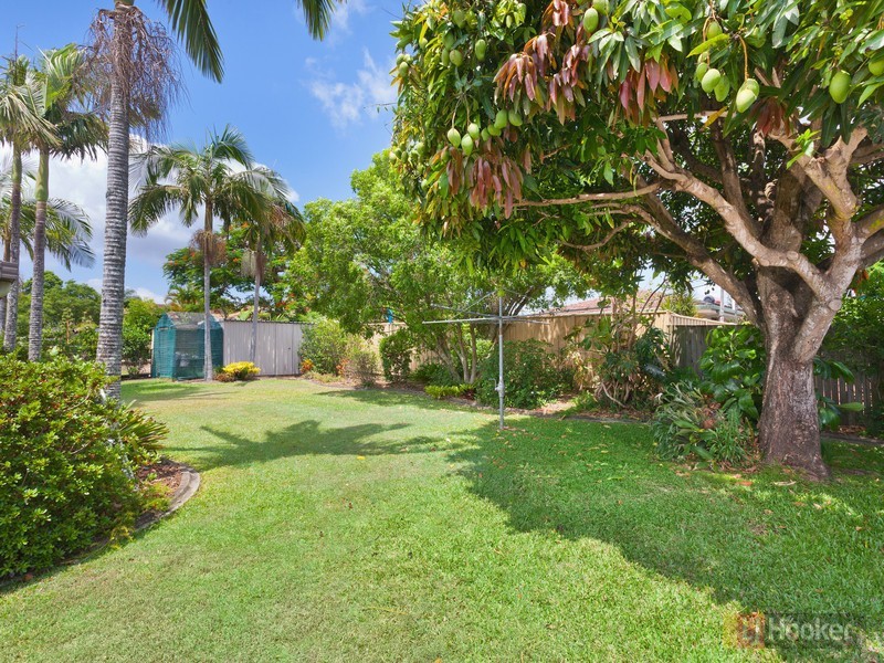 6 Buttercup Street, Mansfield QLD 4122