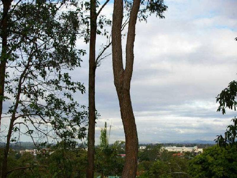 76 Arafura Street, Upper Mount Gravatt QLD 4122