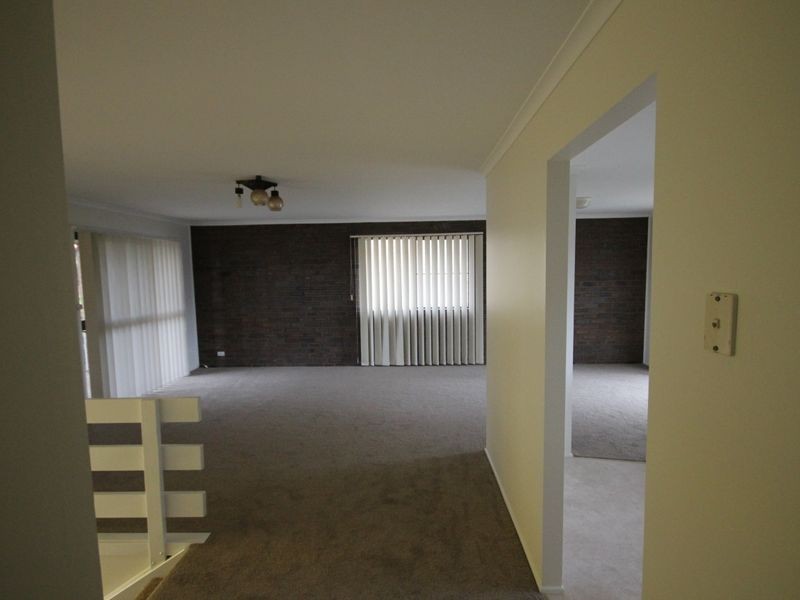 25 Chartreuse Street, Sunnybank Hills QLD 4109