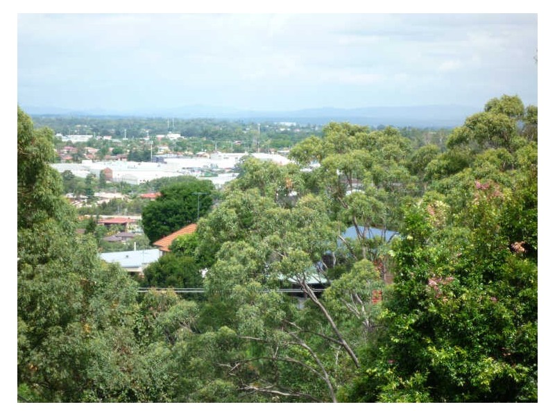 41 Prenzler Street, Upper Mount Gravatt QLD 4122