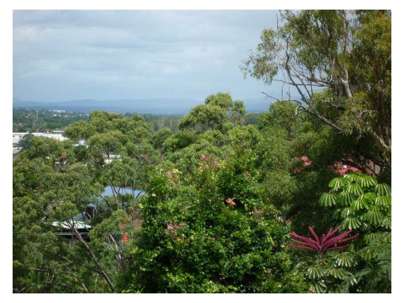 41 Prenzler Street, Upper Mount Gravatt QLD 4122