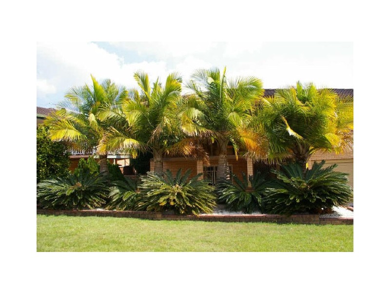 20 Lilyvale Street, Mansfield QLD 4122