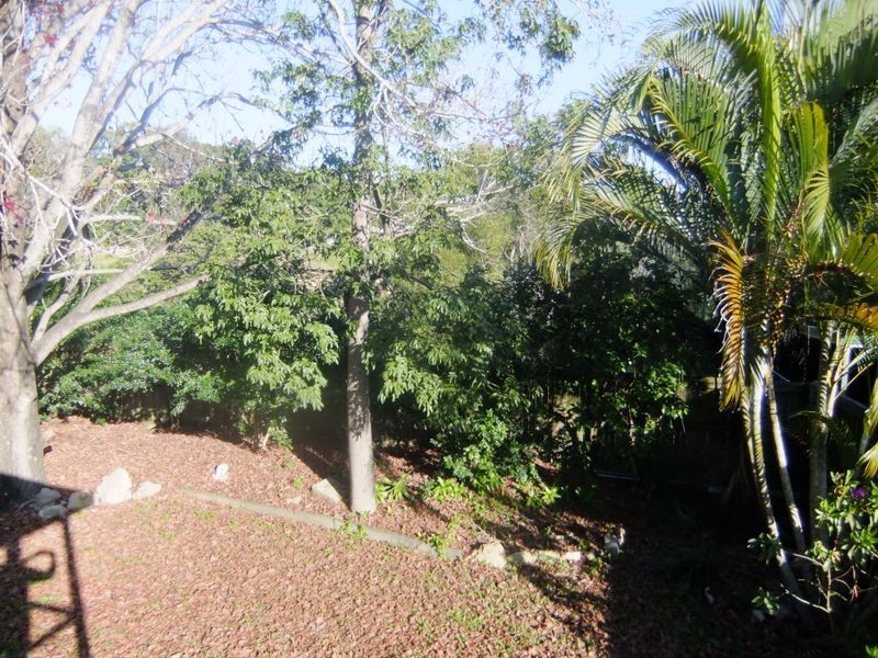 117 Birdwood Road, Holland Park West QLD 4121