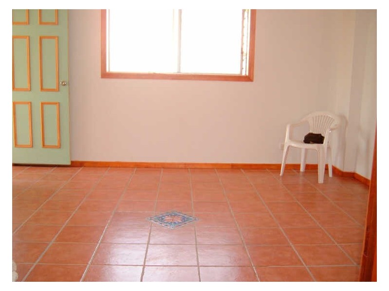 15 Megalong Street, Holland Park QLD 4121