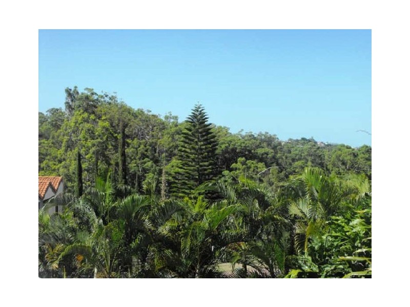 41 Wisteria Crescent, Mount Gravatt East QLD 4122