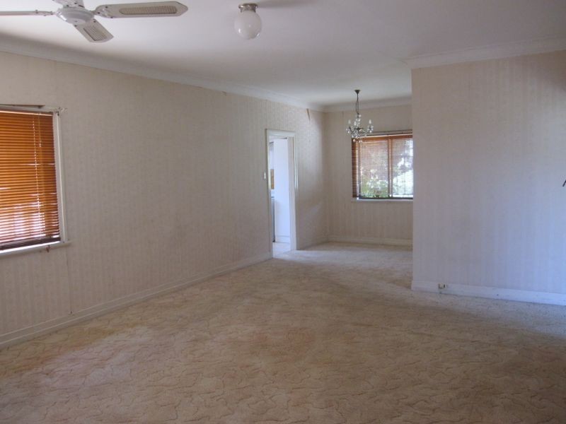 16 Selborne Street, Mount Gravatt East QLD 4122