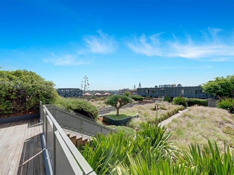 309/380 Harris Street, Pyrmont NSW 2009