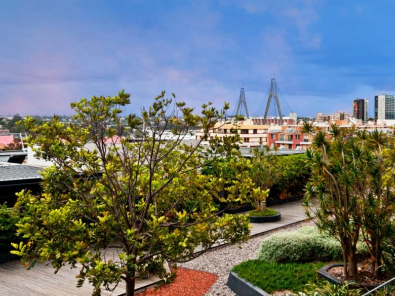 1414/243 Pyrmont Street, Pyrmont NSW 2009