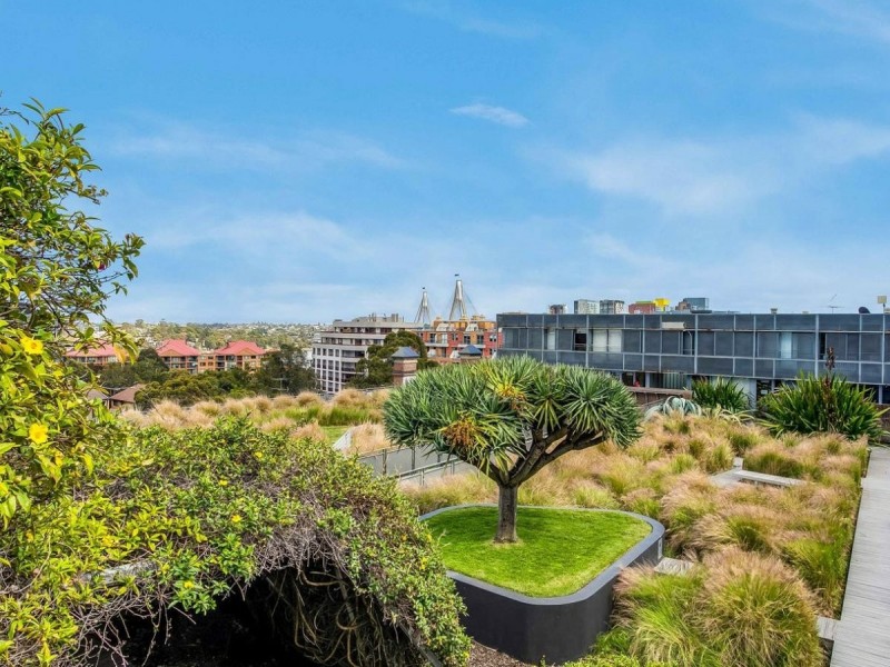 510/380 Harris St, Pyrmont NSW 2009