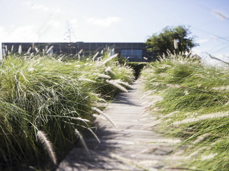 512/380 Harris Street, Pyrmont NSW 2009