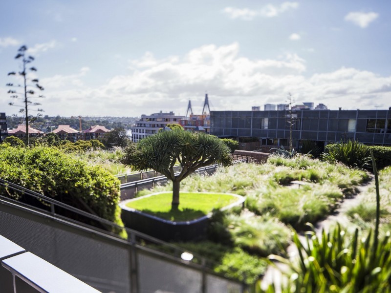 512/380 Harris Street, Pyrmont NSW 2009