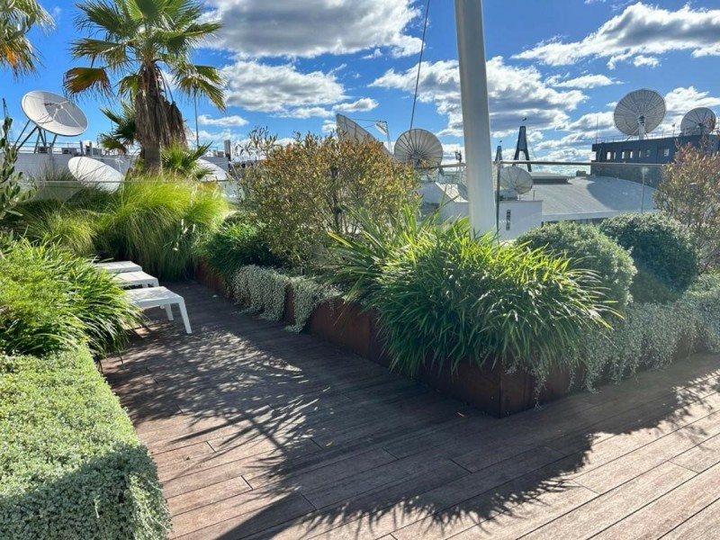 S210/233 Harris Street, Pyrmont NSW 2009