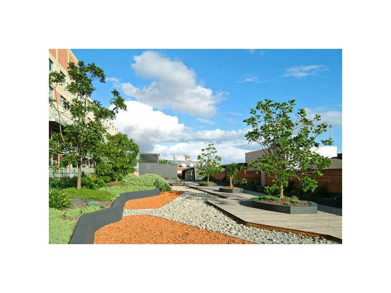 207/380 Harris St, Pyrmont NSW 2009