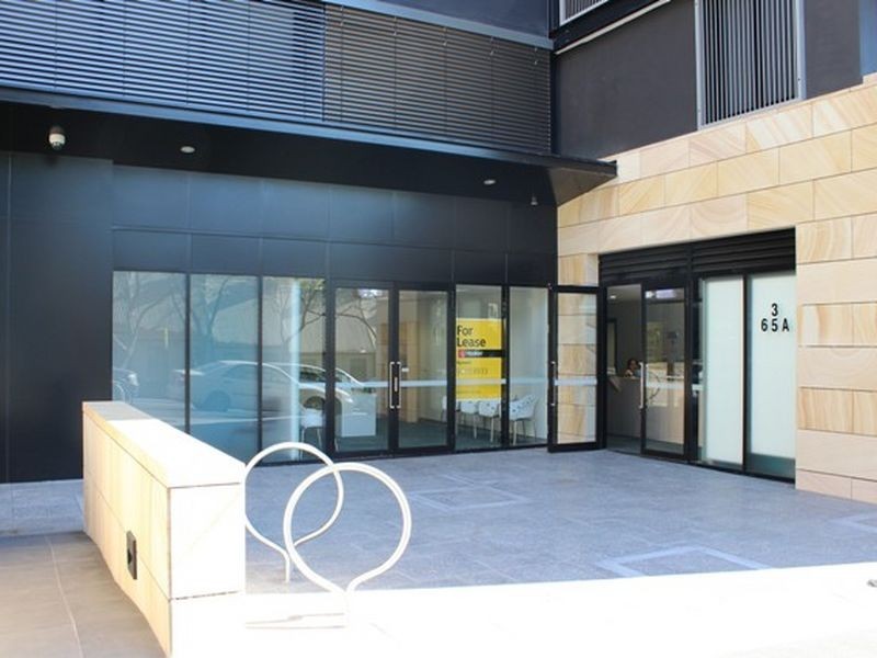 65A Burton St, Darlinghurst NSW 2010