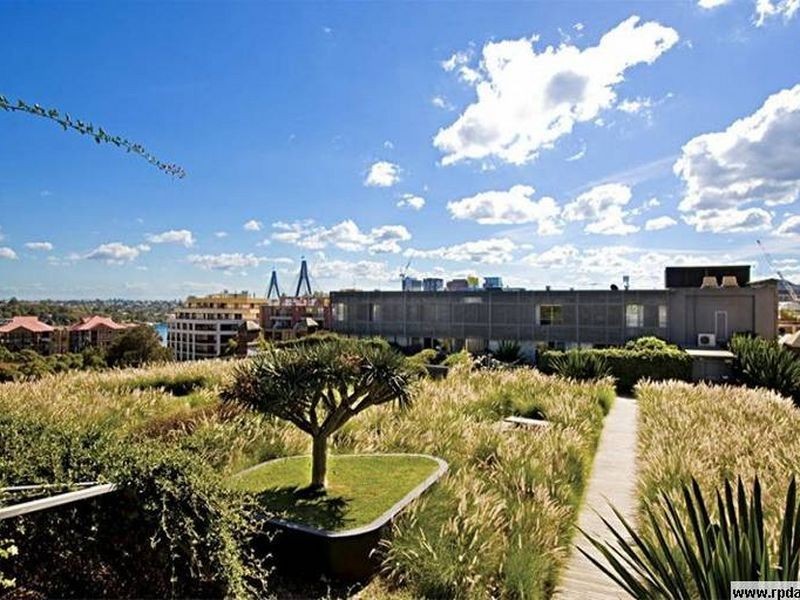 501/320 Harris Street, Pyrmont NSW 2009