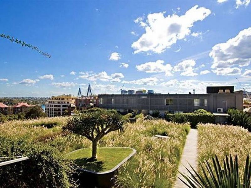 412/380 Harris Street, Pyrmont NSW 2009