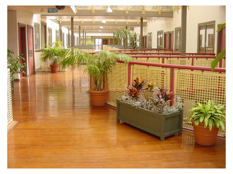 616/243 Pyrmont Street, Pyrmont NSW 2009