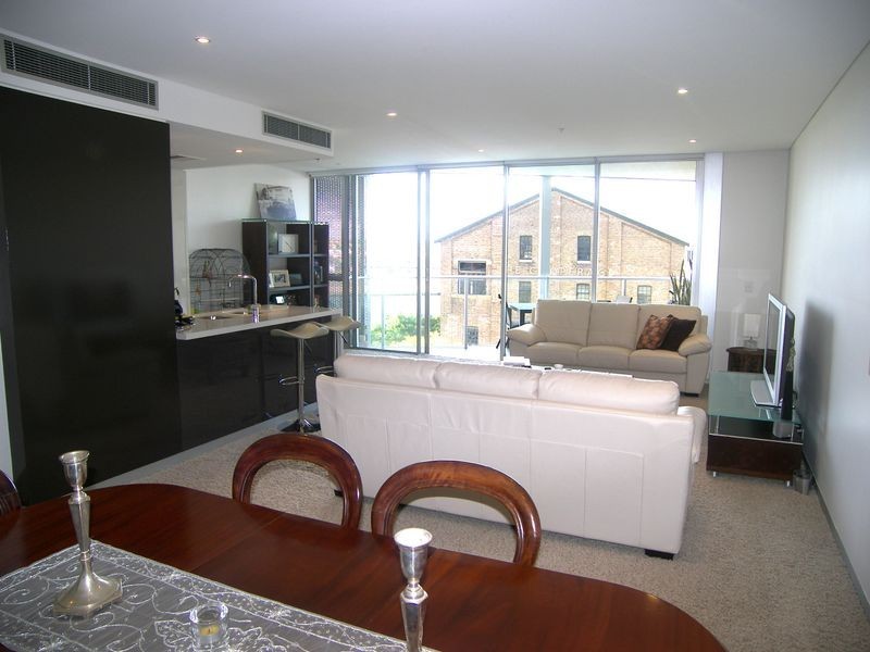 205/45 Bowman Street, Pyrmont NSW 2009