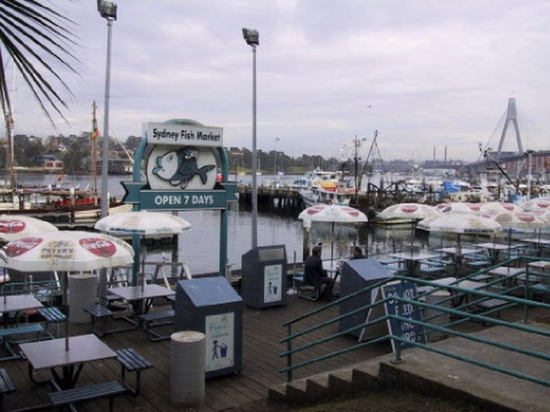 45/2-26 Wattle Crescent, Pyrmont NSW 2009