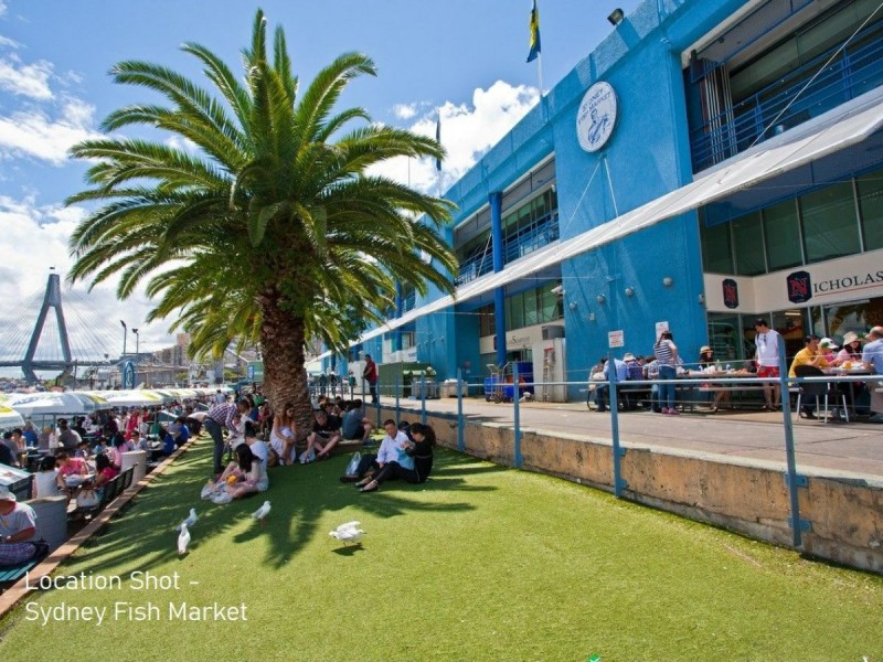 455 Harris Street, Ultimo NSW 2007