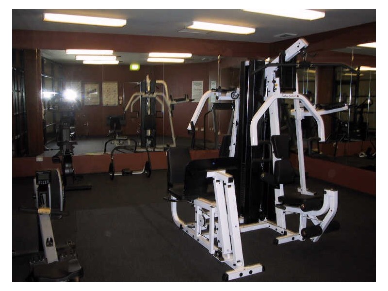 E903/26 Point St, Pyrmont NSW 2009