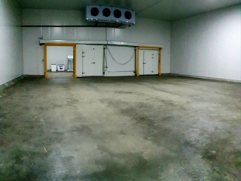 4 Morton Close, Tuggerah NSW 2259