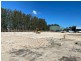 51-59 Gavenlock Road, Tuggerah NSW 2259