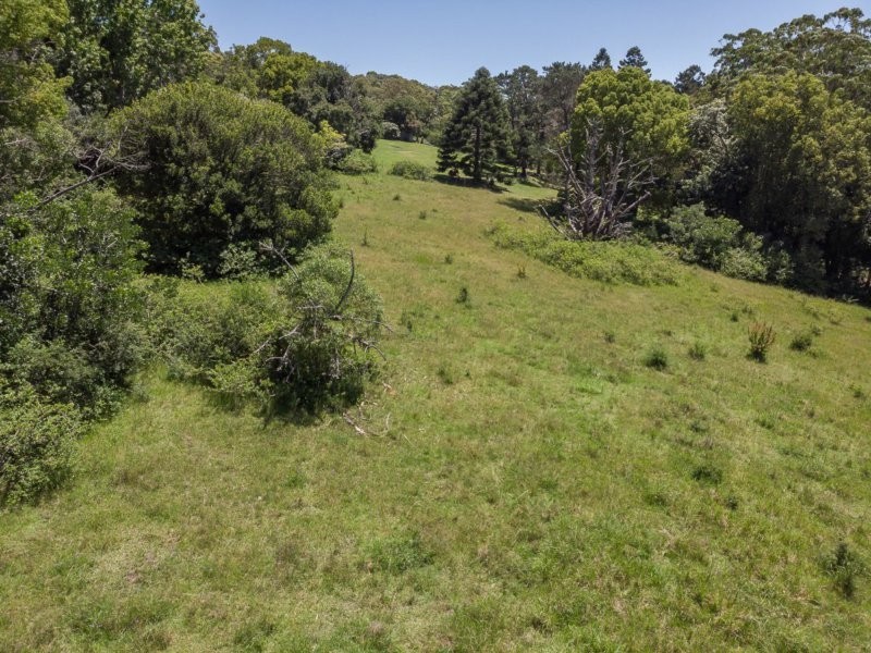 41 Wallarah Street, Lisarow NSW 2250