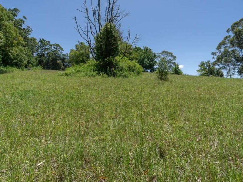 41 Wallarah Street, Lisarow NSW 2250