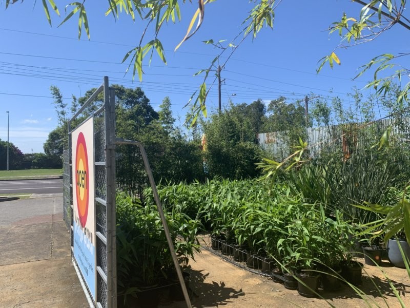 193-195 Main Road, Toukley NSW 2263