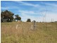 Lot 4 & 5/51-55 Tooheys Road, Bushells Ridge NSW 2259